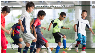 細分化されたクラス分け